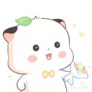 暂无图片