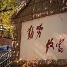 暂无图片