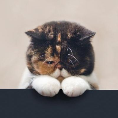 暂无图片