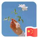 暂无图片