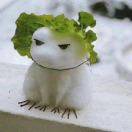 暂无图片