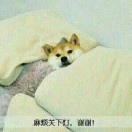 暂无图片