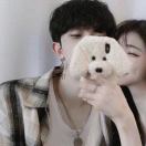 暂无图片