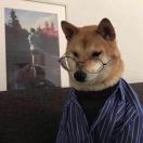 暂无图片