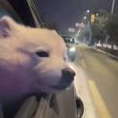 暂无图片