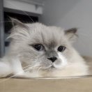 暂无图片