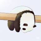暂无图片