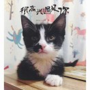 暂无图片
