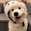 暂无图片