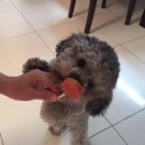 暂无图片