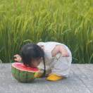 暂无图片