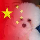暂无图片
