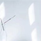 暂无图片