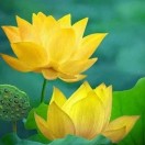 暂无图片