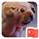 暂无图片