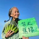暂无图片
