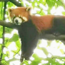 暂无图片