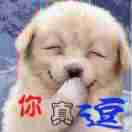 暂无图片