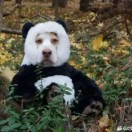 暂无图片