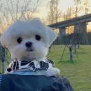 暂无图片