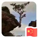 暂无图片
