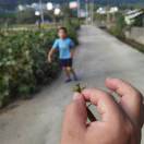 暂无图片