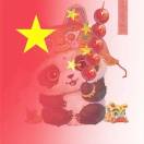 暂无图片