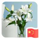 暂无图片