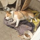 暂无图片