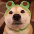 暂无图片