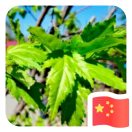 暂无图片