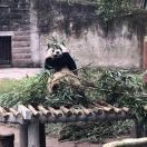 暂无图片