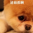 暂无图片