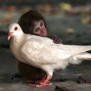 暂无图片