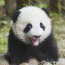 暂无图片