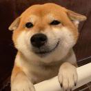 暂无图片