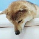 暂无图片