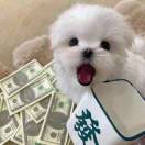 暂无图片