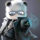 暂无图片
