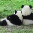 暂无图片