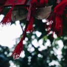 暂无图片