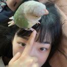 暂无图片