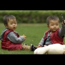 暂无图片