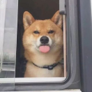 暂无图片