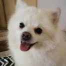 暂无图片