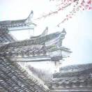 暂无图片