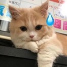 暂无图片