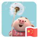 暂无图片