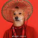 暂无图片