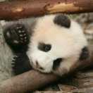 暂无图片